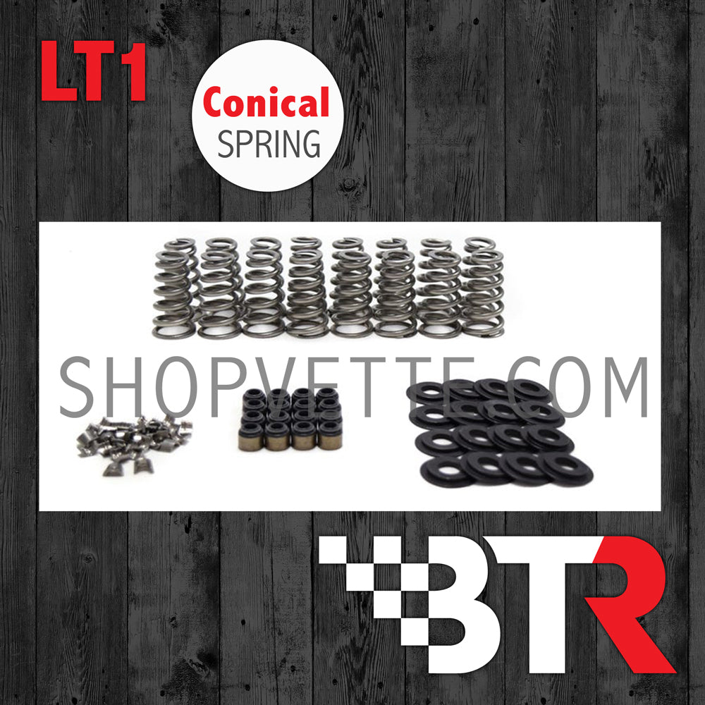 BTR LT1 Conical Spring Kit